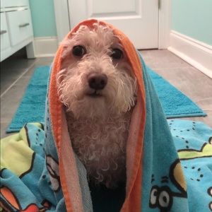 Meet your Posher, Robert